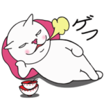 動く！戦う猫と犬！