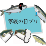 こどもの日、母の日、父の日、敬老の日ブリ
