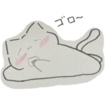 ねこ丸の日常2022