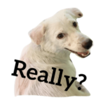 ポニョ by Acti-LABO