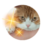 まるスタ侍～エフェクト