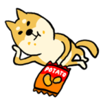 柴犬の休みたい日常