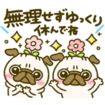 大好き♡パグちゃん