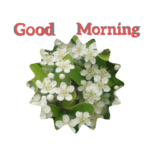 花写真を使ったスタンプ