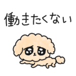 かわちぃのにメンタルやられているトイプー