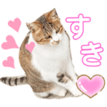 ちいちゃんすたんぷ♡