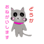 ネコのもちまる