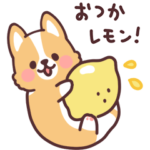 まるまるコーギー フルーツとコーギー