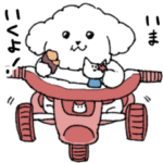 ゆるふわ白い犬　トイプードル 修正版