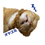 ナベセンと愉快な仲間たち　　　いなりver.