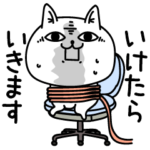 じろりねこイカれてる