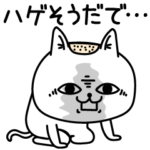 じろりねこ名古屋弁