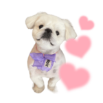 ぷっちぷっちぷっち