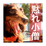 モカブルのいる日常