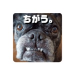 ボンたんスタンプ １