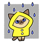 雨の日と猫