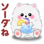 ポメラニアン ぽちゃん「だじゃれ」