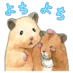 ハムスターの助六とジロ