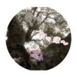 ナッツのアマビエ アビィとムー