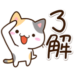 元気な小さい三毛猫