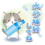 ちびニャンず♡飛び出す夏スタンプ