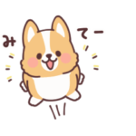 動く！まるまるコーギー