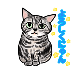 猫の絵 犬の絵スタンプ 無料スタンプ 隠しスタンプ Lineクチコミサイト スタンプバンク