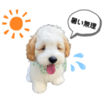 キャバションあんちゃんのスタンプ