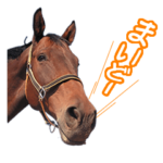 大阪弁をしゃべる馬のスタンプ