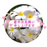 暑中お見舞い申し上げます♪