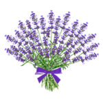 ラベンダー香る丘