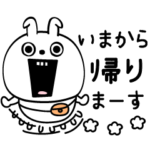 ピタうさぎ毎日使えるよ