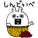 ピタうさぎ訛って田舎だよ