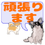 でか文字わんこ4 チワワの日常会話　犬