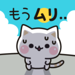 夏★飛び出す気づかいのできないネコ★