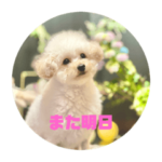 アーニャすたんぷ③