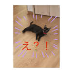 アーニャ0才その2