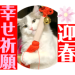 幸せの姫猫アーニャ 6 お洒落な《日常》