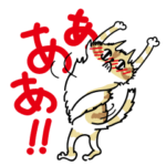 恥ずかしすぎて逃げたい猫 アーニャ