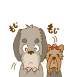 ワイアーへアード&ヨークシャテリア