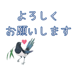 丁寧語で大人可愛い鳥と動物スタンプ Line無料スタンプ 隠しスタンプ 人気スタンプ クチコミサイト スタンプバンク