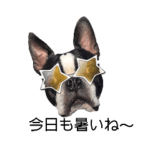 夏に毎日使える便利なスタンプ