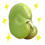 実写版ホクホクそらまめちゃん