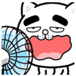 Nyanko with bad eyesight