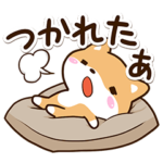 かわいい☆まめシバ