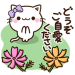 毎日便利な☆ちびシロ