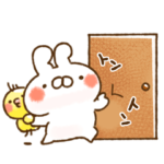 とびだす版/はじまりとおわり/ねことうさぎ