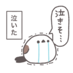 推シエナガさん。2