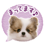 敬語でふきだしワン