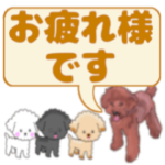 でか文字わんこ2 トイプードルの日常会話